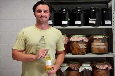 Alla scoperta del Kombucha: millenario "elisir di lunga vita" prodotto a Bari 